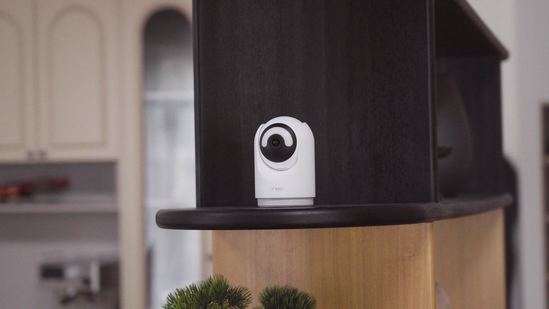 How Accurate Is Pet Detection on Security Cameras? CYVIO C2 Pet Camera Real-World Accuracy Test